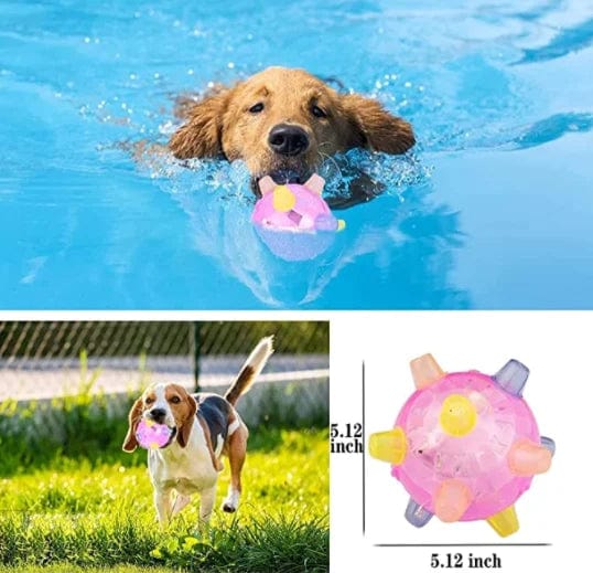 💥🎁2024-Christmas Hot Sale🎁 49% 💥Jumping activation ball for dogs and cats