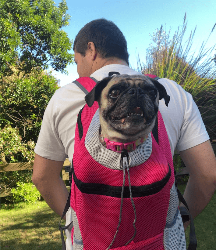 Fur Sport Backpack