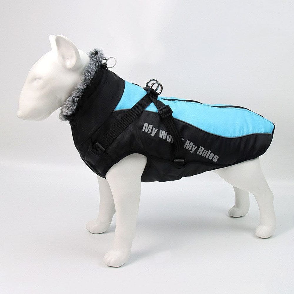 BlueDogSkiWaterproofJacketwithHarnessandfurcollarinprofileonadogmannequinonwhitebackground