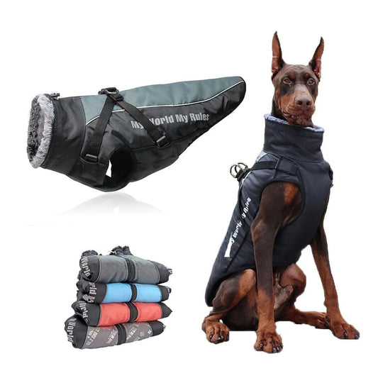 BrownshorthairdoginagraywarmDogSkiWaterproofJacketwithHarnessforMediumandLargeDogsonwhitebackground.GrayDogSk