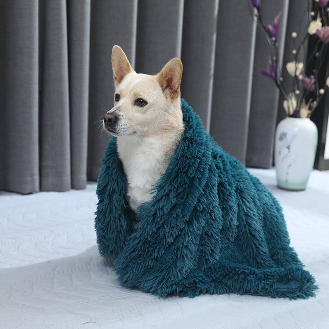 Calming Pet Blanket-03