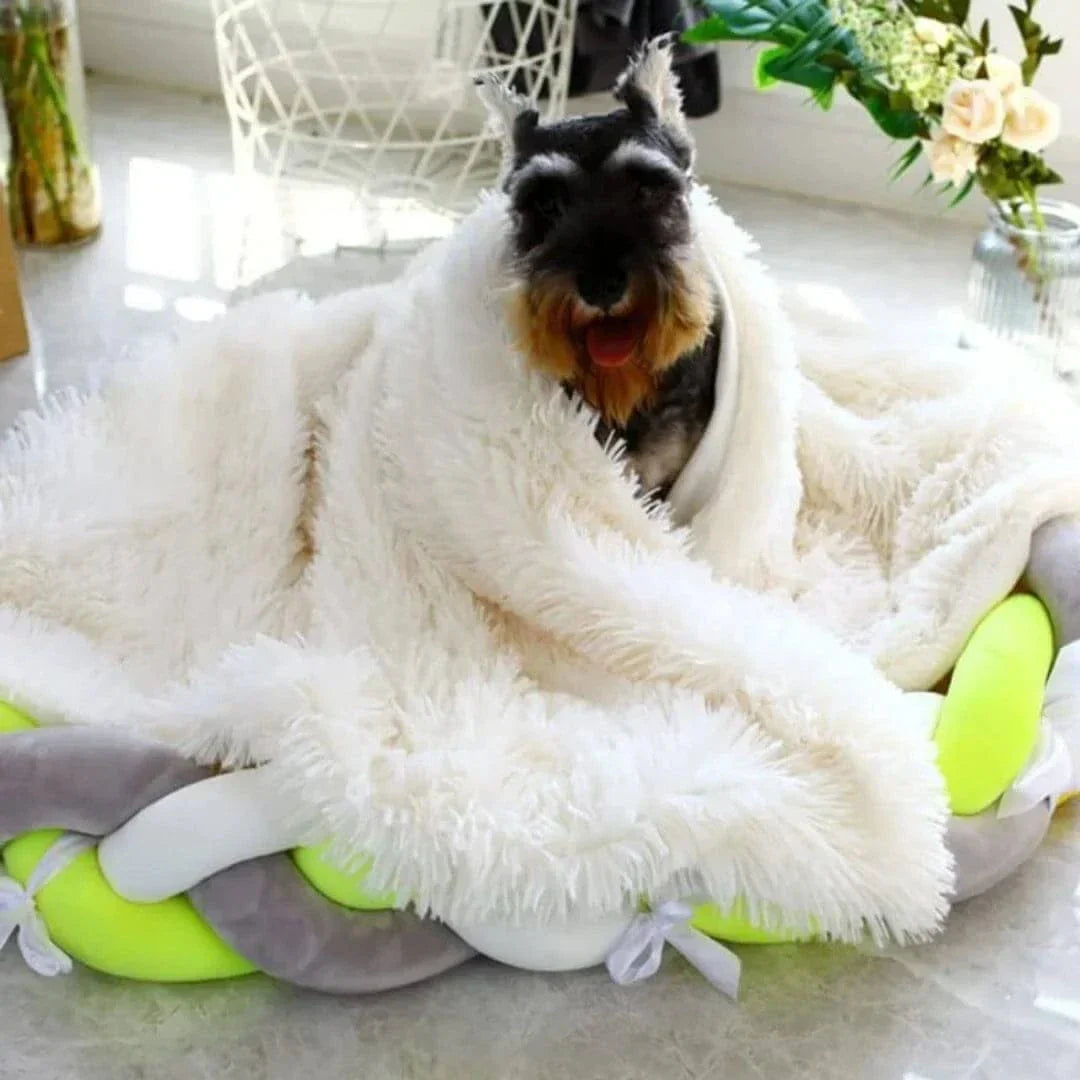Calming Pet Blanket-05