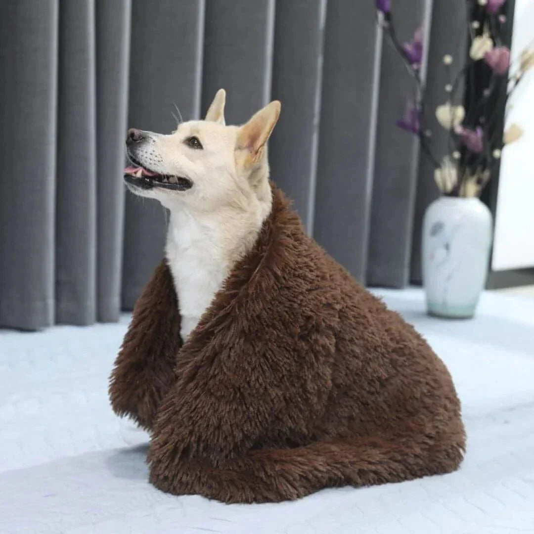 Calming Pet Blanket-06