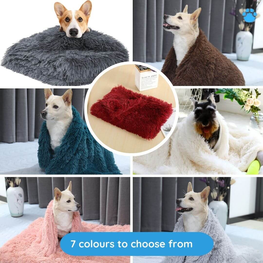 Calming Pet Blanket-08