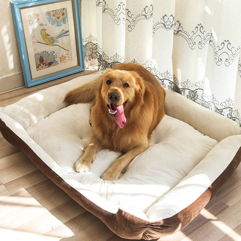 DeluxeDogBedBonePetSofa-Brown