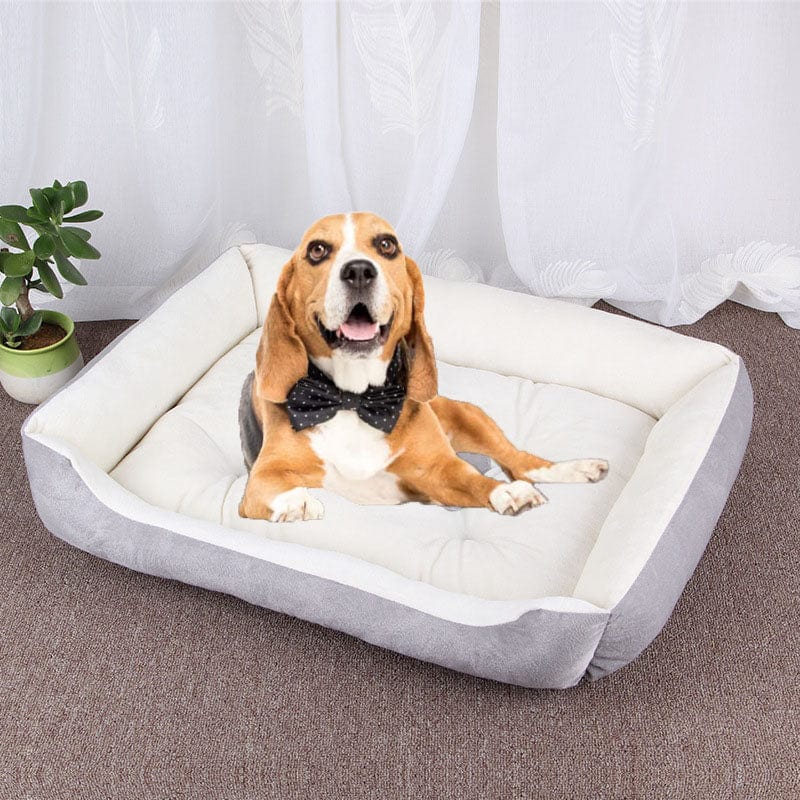 DeluxeDogBedBonePetSofa-LightGrey