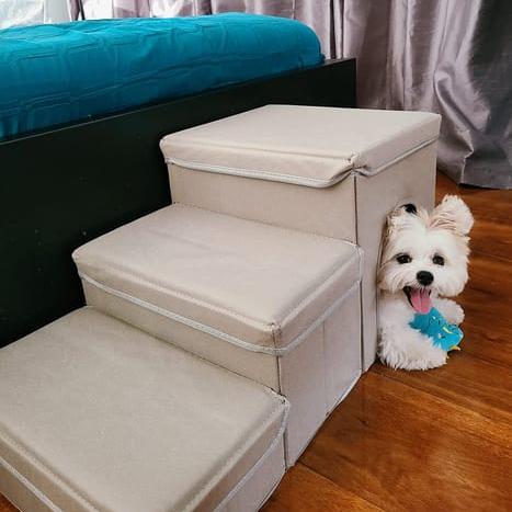 Dog Stairs with Storage & Condo-06