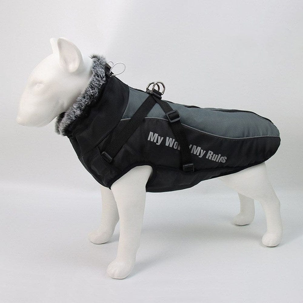 GrayDogSkiWaterproofJacketwithHarnessandfurcollarinprofileonadogmannequinonwhitebackground