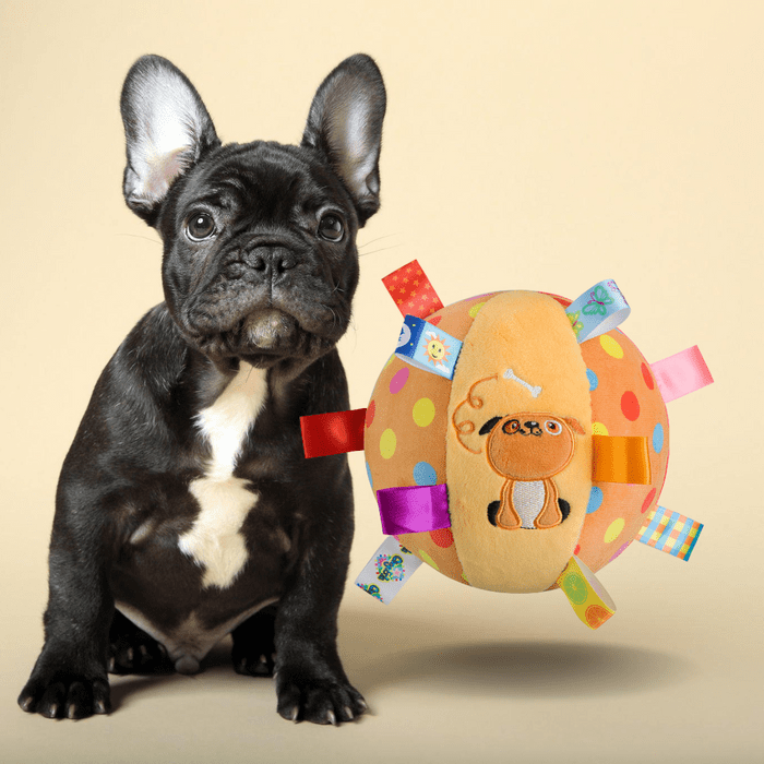 InteractiveRattlingPlushBallToy-dog