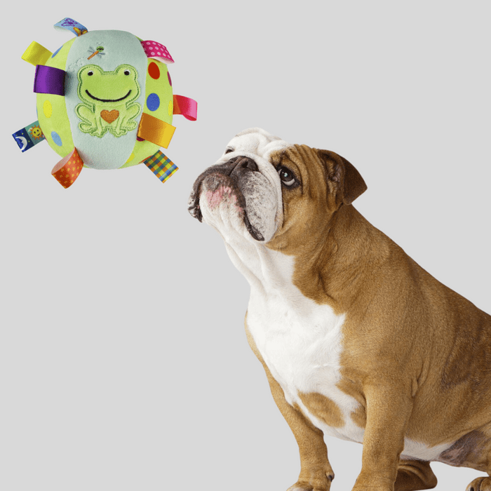 InteractiveRattlingPlushBallToy-frog