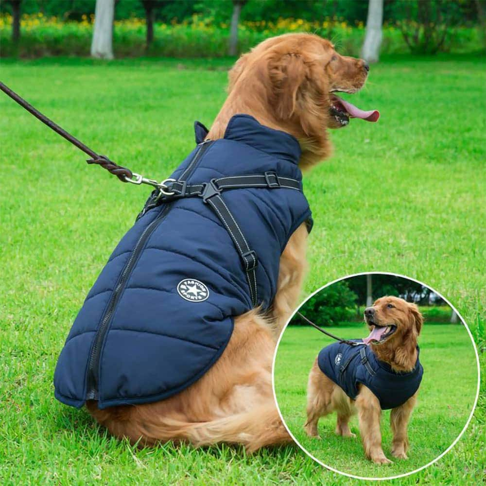 Julibibis Shop™Waterproof Winter Dog Jacket With Built-In Harness