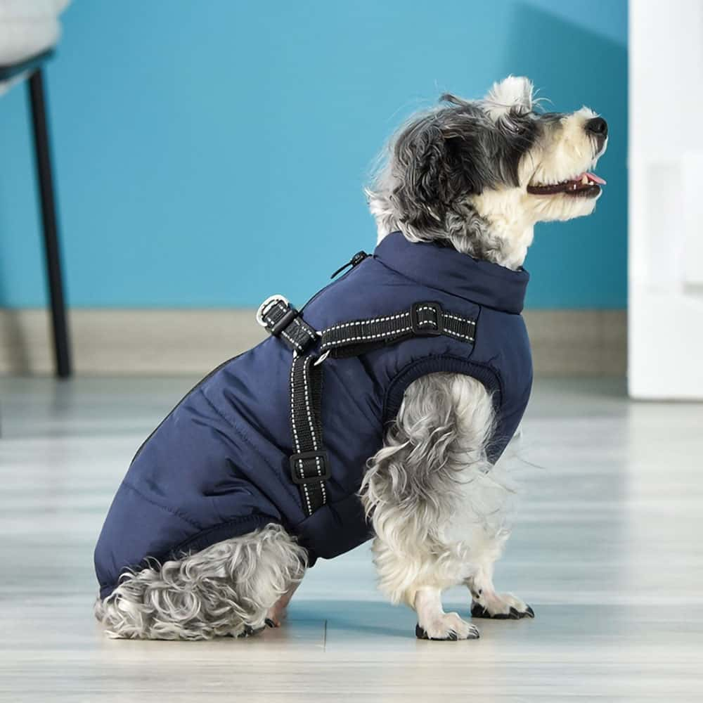 Julibibis Shop™Waterproof Winter Dog Jacket With Built-In Harness