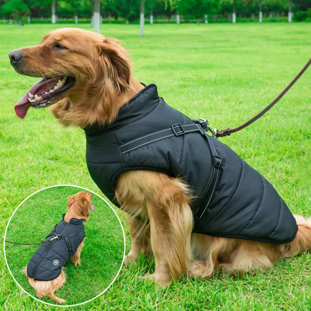 Julibibis Shop™Waterproof Winter Dog Jacket With Built-In Harness